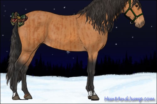 Horse Color:Bay  and Bay 