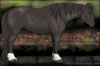 Horse Color:Smoky Black Tobiano Rabicano
