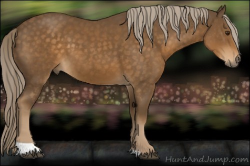 Horse Color:Chocolate Palomino