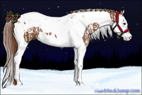 Horse Color:Chestnut Splash Tobiano and Chestnut Splash Tobiano