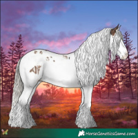 Horse Color:Black Splash Tobiano  and Silver Black Splash Tobiano 