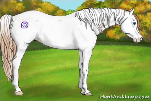Horse Color:Red Dun Splash Tobiano  and Red Dun Splash Tobiano 