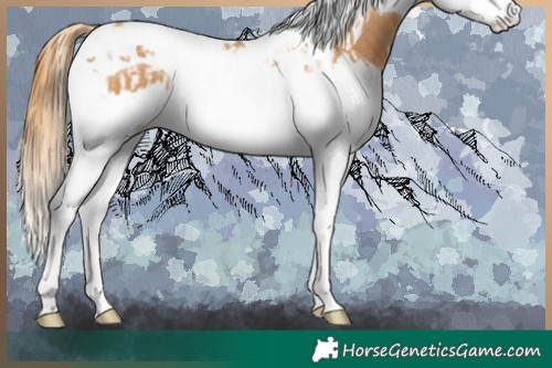 Horse Color:Chestnut Splash Tobiano and Chestnut Splash Tobiano