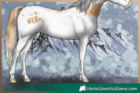 Horse Color:Chestnut Splash Tobiano  and Chestnut Splash Tobiano 