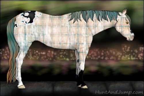 Horse Color:Plaid  Bay Ice Pearl Appaloosa 