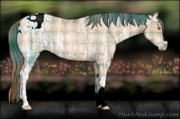 Horse Color:Plaid  Bay Ice Pearl Appaloosa 