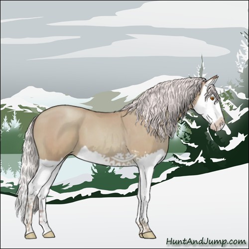Horse Color:Watercolor Silver Black Pearl Splash 