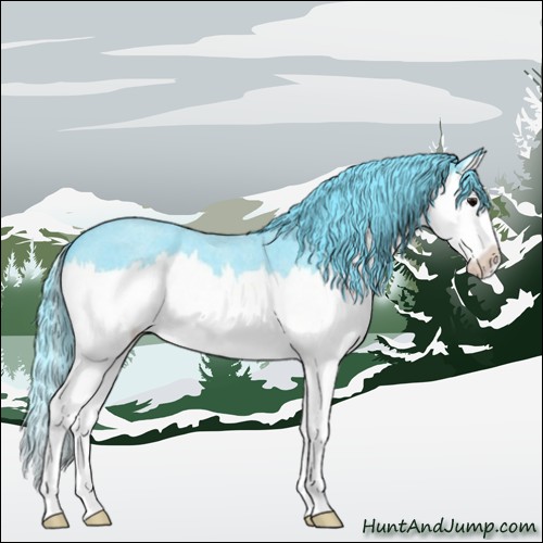 Horse Color:Watercolor Blue Roan Splash 