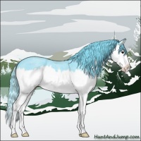 Horse Color:Watercolor Blue Roan Splash 