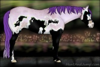 Horse Color:Watercolor Bay Roan Onyx Splash Frame 