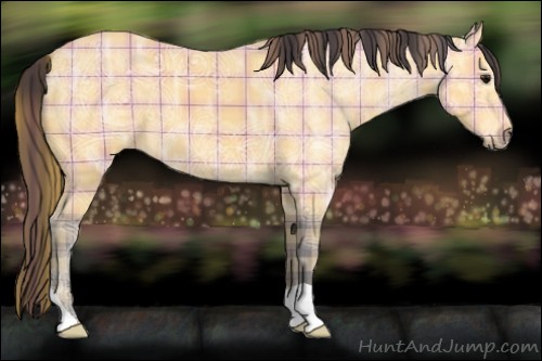 Horse Color:Plaid Buckskin Ice