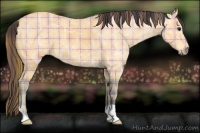 Horse Color:Plaid  Buckskin Ice 