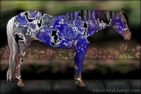 Horse Color:White Spotted Liver Chestnut Ice Blanket 