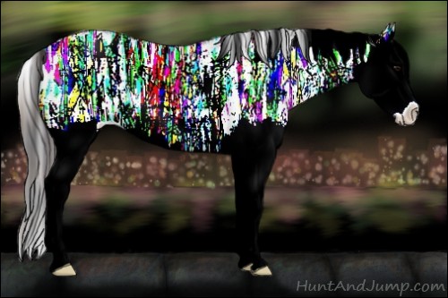 Horse Color:Plaid  White Spotted Brown Ice Splash Rabicano 