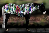 Horse Color:Plaid White Spotted Brown Ice Splash Rabicano