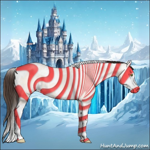Horse Color:Amber Champagne Splash Tobiano and Amber Champagne Splash Tobiano