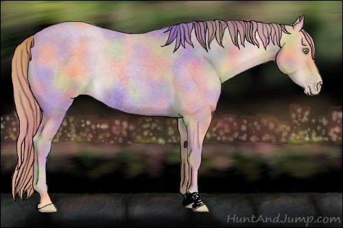 Horse Color:Nacre Gold Champagne Roan Rabicano