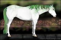 Horse Color:Nacre Watercolor White Spotted Black Ice Rabicano 