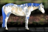 Horse Color:Watercolor White Spotted Liver Red Onyx Ice Sabino Rabicano