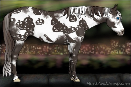 Horse Color:White Spotted Liver Chestnut Frame 