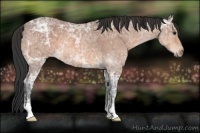 Horse Color:Bay Ice Roan Rabicano 