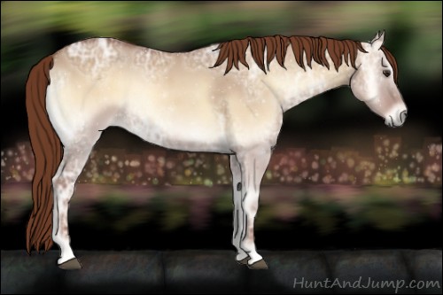 Horse Color:Red Dun Ice Roan Onyx 