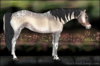 Horse Color:Brown Ice Roan Onyx
