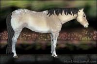 Horse Color:Bay Ice Onyx 