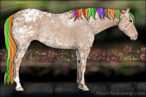 Horse Color:Painted Chestnut Ice Appaloosa Rabicano 