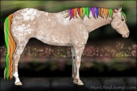 Horse Color:Painted Chestnut Ice Appaloosa Rabicano 