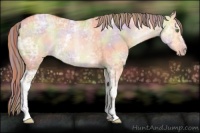 Horse Color:Painted Nacre White Spotted Bay Ice Pearl Dun