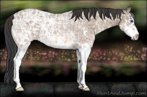 Horse Color:White Spotted Bay Ice Splash