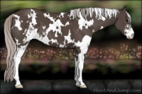 Horse Color:White Spotted Silver Black Sabino 