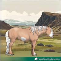 Horse Color:Silver Amber Champagne Frame 