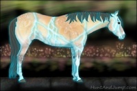 Horse Color:Thunderstruck Buckskin Ice Onyx