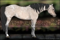 Horse Color:Bay Ice Roan Dun 