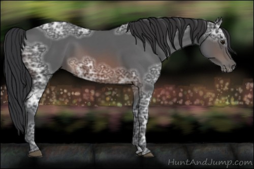Horse Color:Brown Ice 
