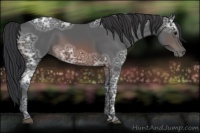 Horse Color:Brown Ice 