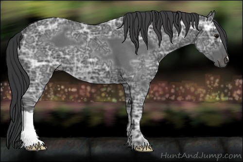 Horse Color:Blue Ice Roan