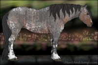 Horse Color:Buckskin Roan  and Brown Ice 