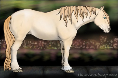 Horse Color:Smoky Black Pearl 