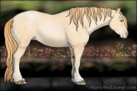 Horse Color:Smoky Black Pearl 