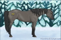 Horse Color:Grullo 