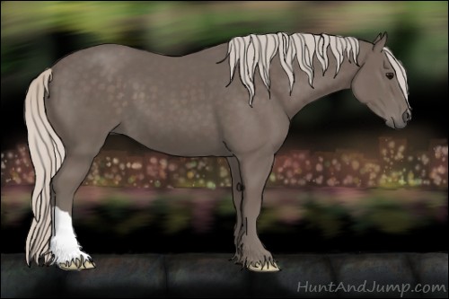 Horse Color:Silver Black 