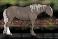 Horse Color:Silver Black 