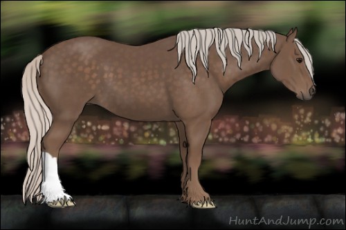 Horse Color:Silver Black 