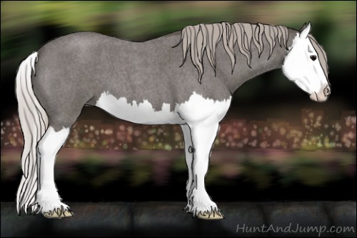Horse Color:Silver Blue Roan Splash