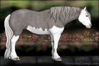 Horse Color:Silver Blue Roan Splash