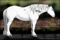 Horse Color:Blue Roan Splash Tobiano 