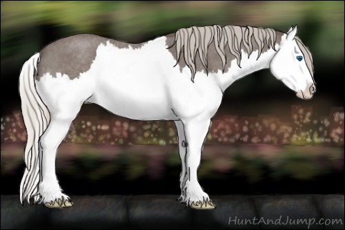 Horse Color:Silver Blue Roan Splash 